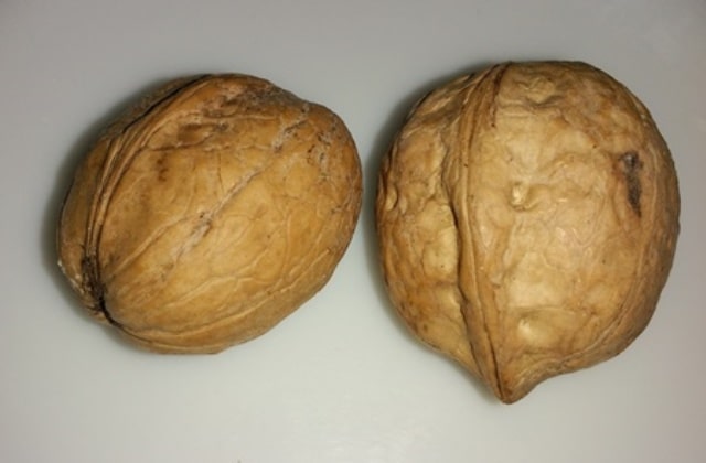 अखरोट खाने का सही समय right time to eat walnuts