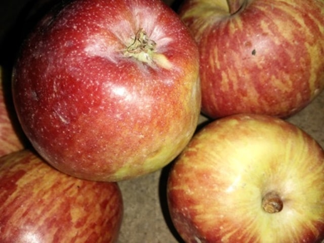 सेब खाने का सही समय Right time to eat apple