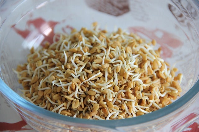 how to make sprouts in hindi