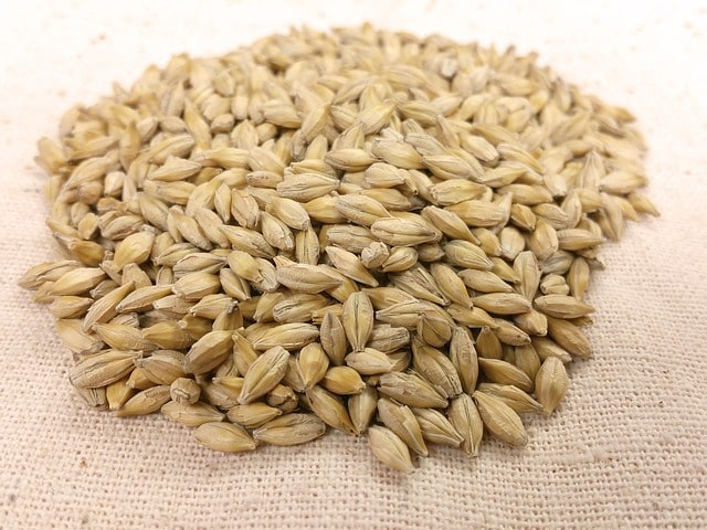 जौ खाने के फायदे और नुकसान - Barley (Jau) in Hindi