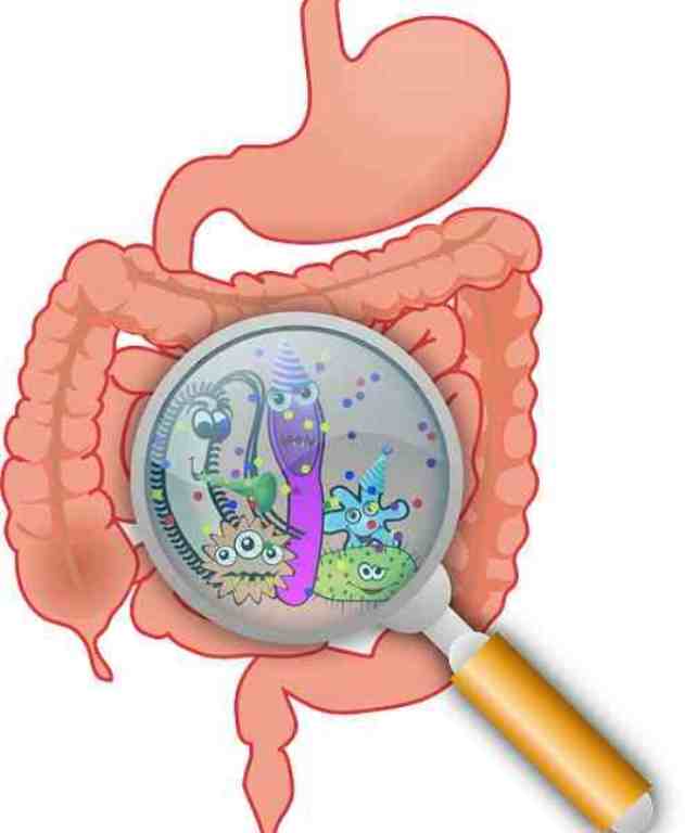 कॉलरा-हैजा-की-बीमारी-cholera-haija-in-hindi