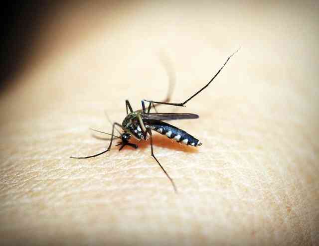 मलेरिया-के-प्रकार-malaria-ke-prakar