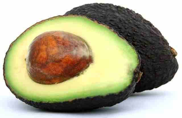 एवोकाडो-फल-avocado-fruit-in-hindi