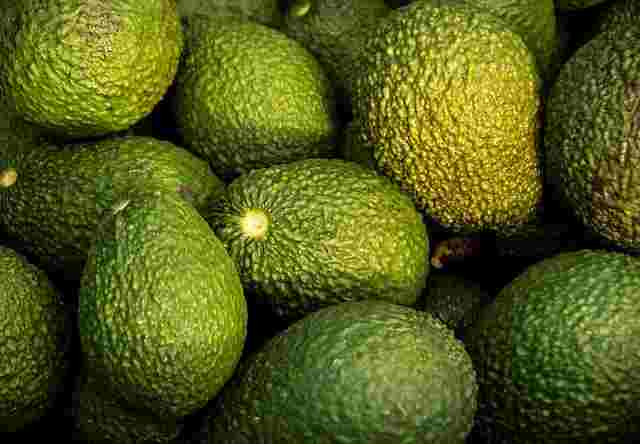 एवोकाडो-फल-खाने-के-नुकसान-avocado-fruit-ke-nuksan-in-hindi