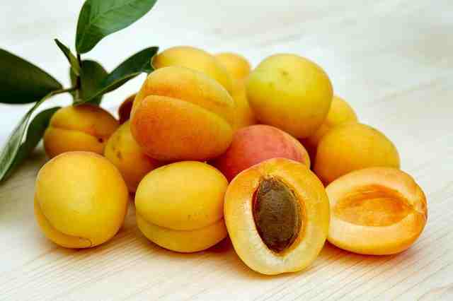 खुबानी-फल-apricot-khubani-fruit-in-hindi