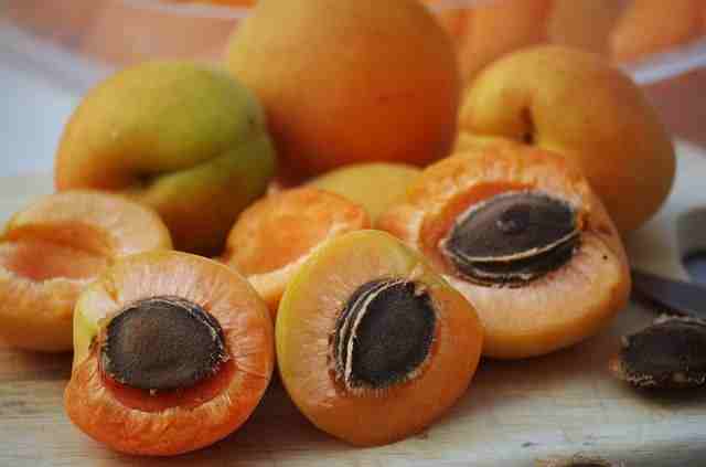 खुबानी-फल-खाने-के-फायदे-apricot-khubani-fruit-benefits-in-hindi