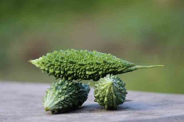 करेला-karela-bitter gourd-in-hindi