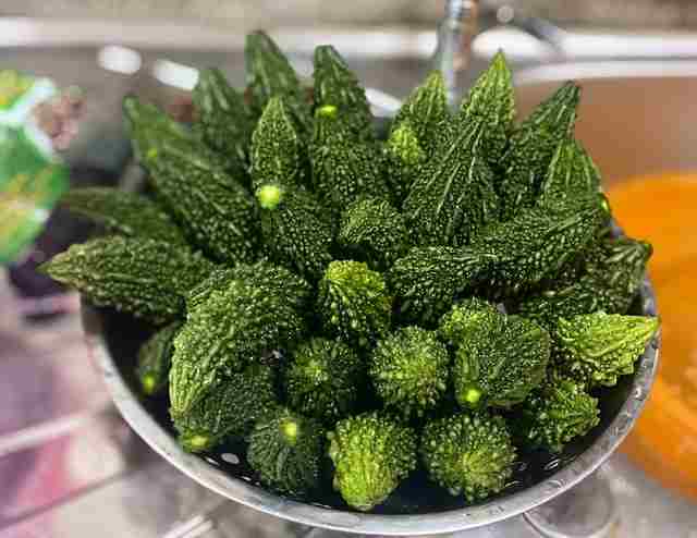 करेला-karela-bitter gourd-in-hindi