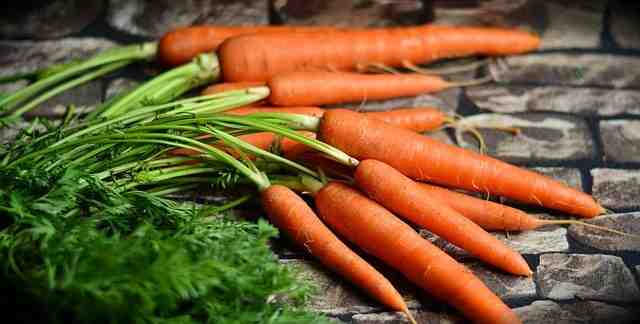गाजर-gajar-carrot-in-hindi