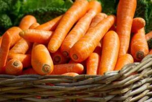 गाजर खाने के फायदे - Gajar (Carrot) Khane ke Fayde in Hindi - आरोग्यवेद