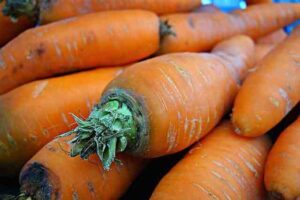 गाजर खाने के फायदे - Gajar (Carrot) Khane ke Fayde in Hindi - आरोग्यवेद