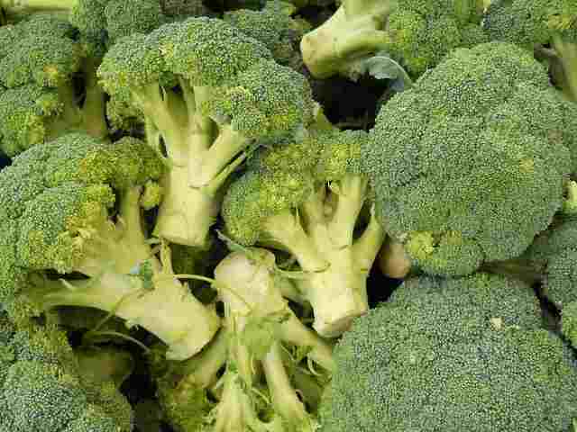 ब्रोकली-broccoli-in-hindi