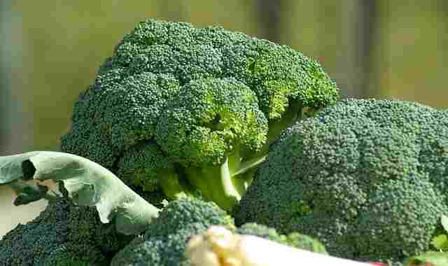 ब्रोकली-के-फायदे-broccoli-ke-fayde-in-hindi