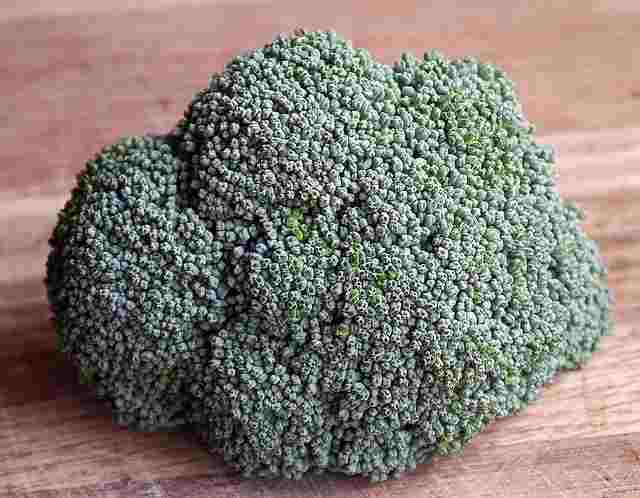 ब्रोकली-खाने-के-फायदे-broccoli-khane-ke-fayde-in-hindi