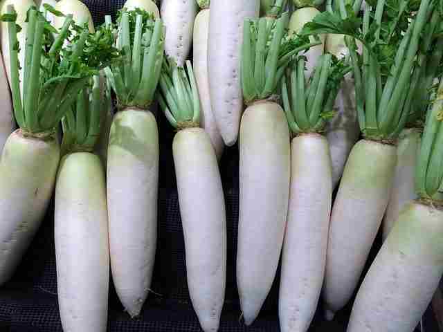 मूली-radish-muli-mooli-in-hindi