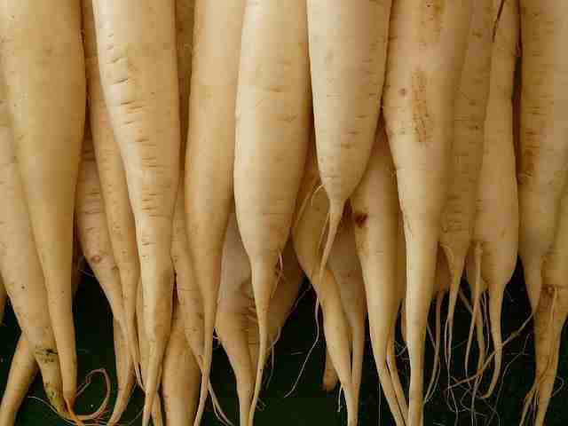 मूली-खाने-के-नुकसान-radish-muli-khane-ke-nuksan-in-hindi