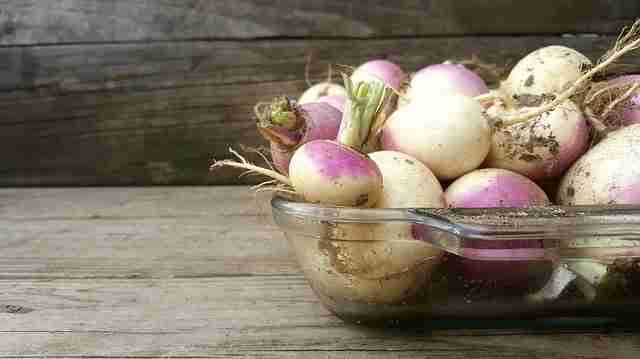 शलजम-खाने-के-फायदे-turnip-shalgam-khane-ke-fayde-in-hindi